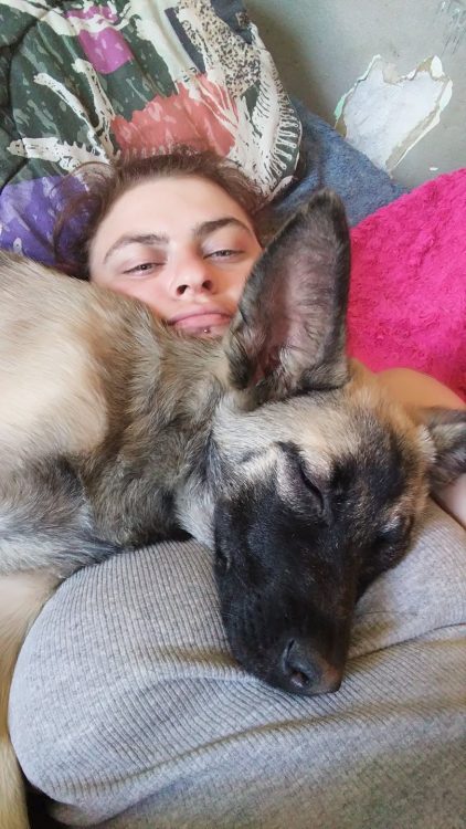 woman lying in bed with dog on top of her