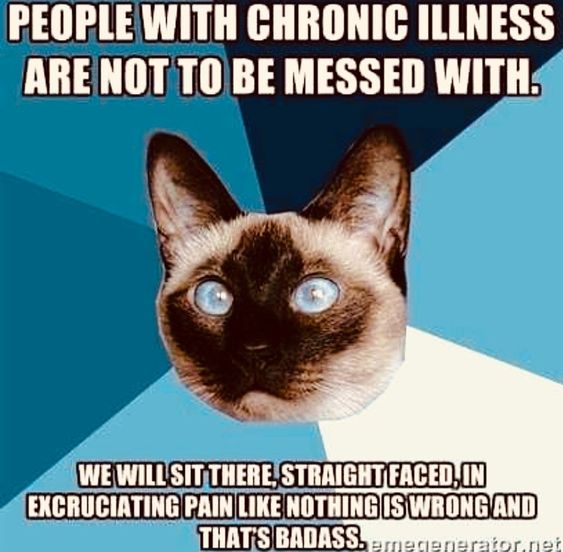 cat meme with text people with chronic illnesses are not to be messed with. we will sit there straight faced in excruciating pain like nothing is wrong and that's badass 