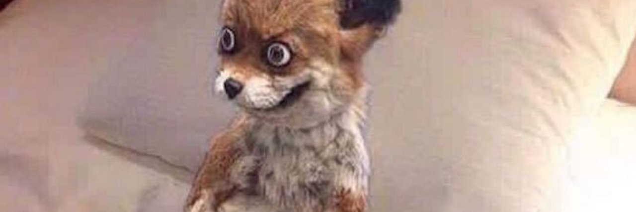 15 Memes That Describe Mornings With Chronic Pain fox sitting up in bed in pain in the morning