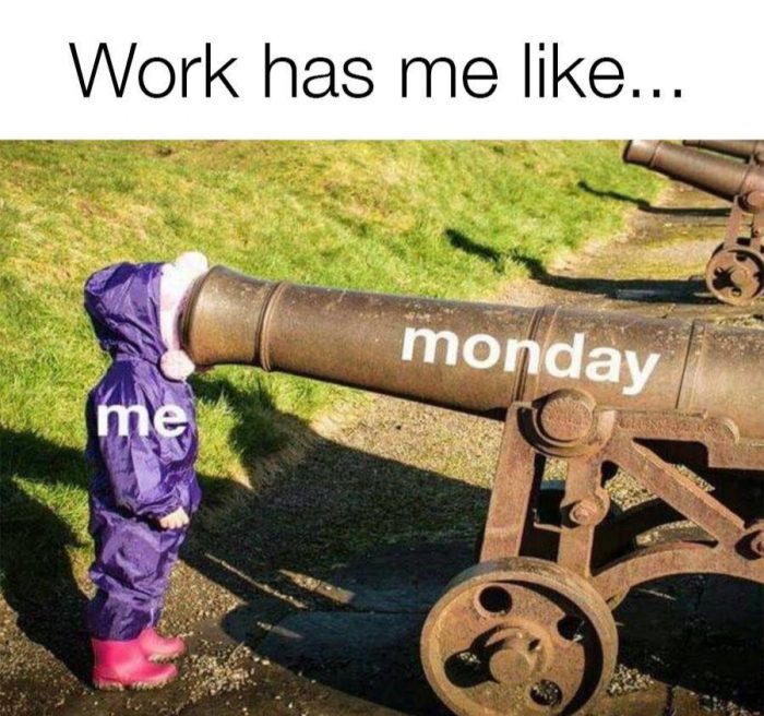 work has me like... with a young girl staring into a cannon