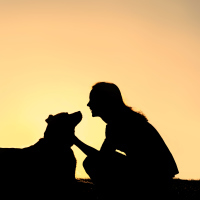 Silhouette of woman petting dog.