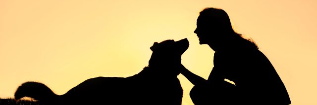 Silhouette of woman petting dog.