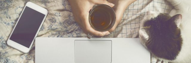 Top view image of woman hands on her bed using a laptop while drinking tea and petting a cat.