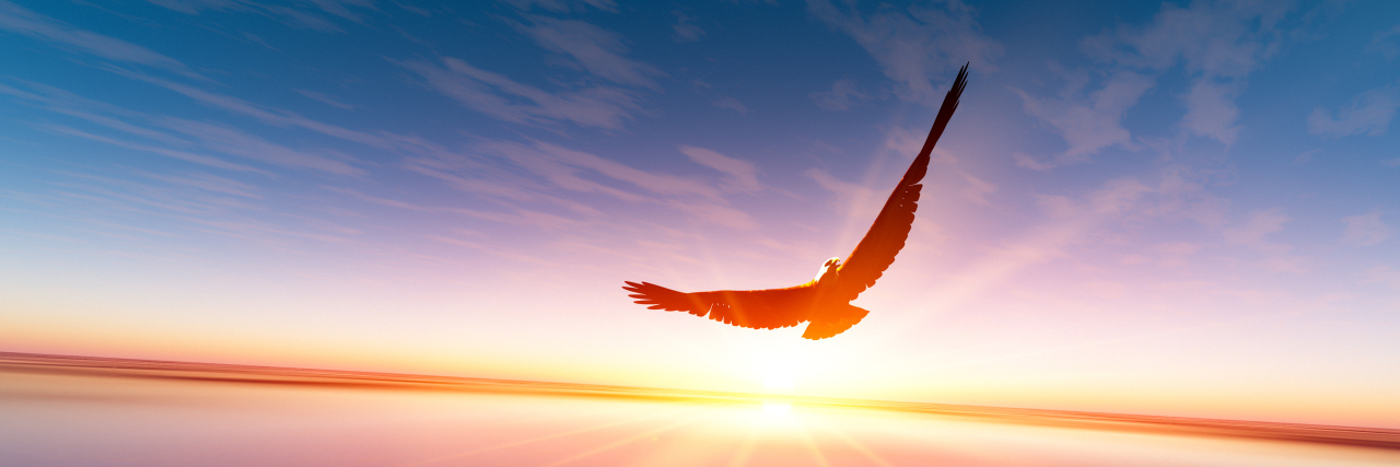 How Caregivers Can Bring More Freedom With a Disability Flying bird.