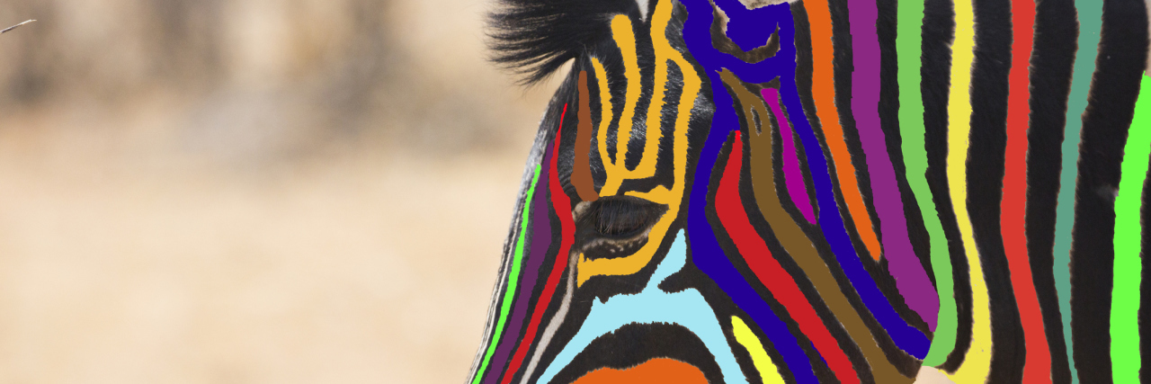 My Journey to Being Diagnosed With Ehlers-Danlos Syndrome zebra with colored stripes instead of white stripes