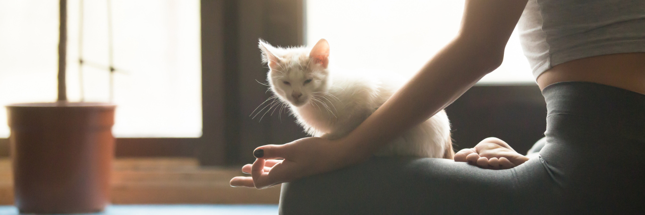 A woman doing yoga with a cat on her lap.