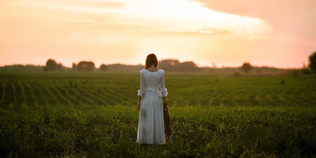 Young woman in long white lace dress on cornfield at sunset. Back view.