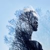 double exposure of woman in profile and trees