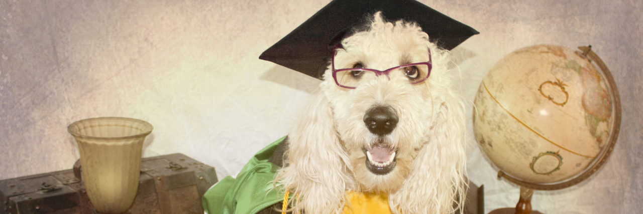 11 Lessons I've Learned From the School of Lyme Disease A picture of a dog wearing a graduation gown, surrounded by things like globes.