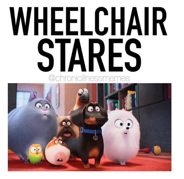 photo of cartoon animals staring with caption wheelchair stares
