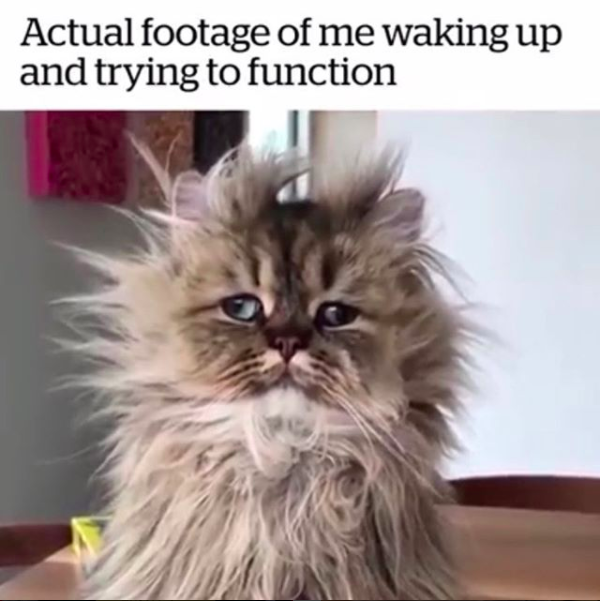 actual footage of me waking up and trying to function