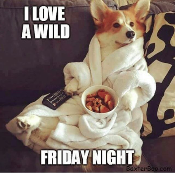 dog wearing a robe and lying on the couch with text saying "I love a wild friday night"