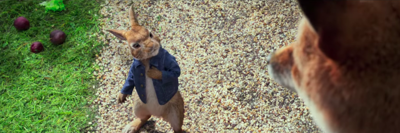 Dear Sony, Your Apology for That 'Peter Rabbit' Scene Is Not Enough peter rabbit