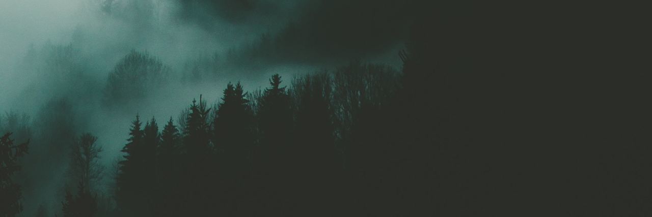 Feeling Stuck in the Past While Grieving My Brother's Death overview of a dark green forest