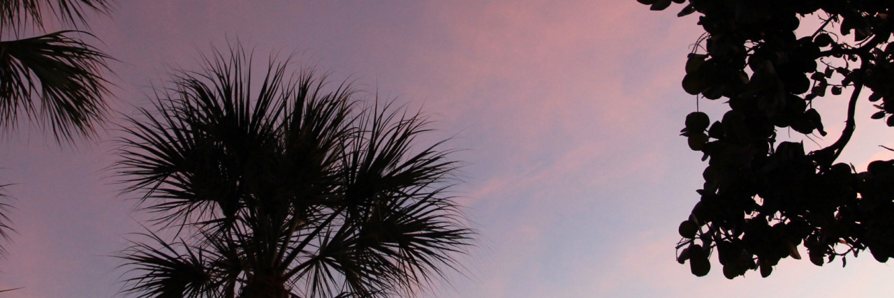 How Kesha's Song 'Praying' Relates to Lyme Disease and Chronic Pain silhouette of trees against a purple night sky