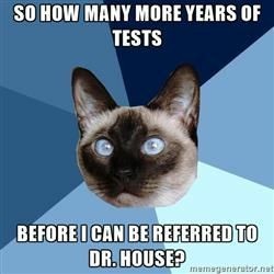 so how many more years of tests before I can be referred to dr. house?
