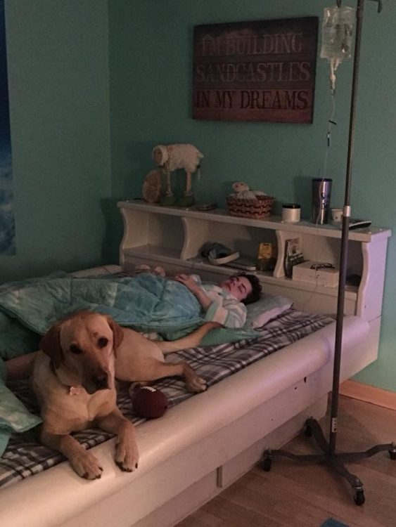 woman lying in bed receiving an infusion with her service dog lying next to her