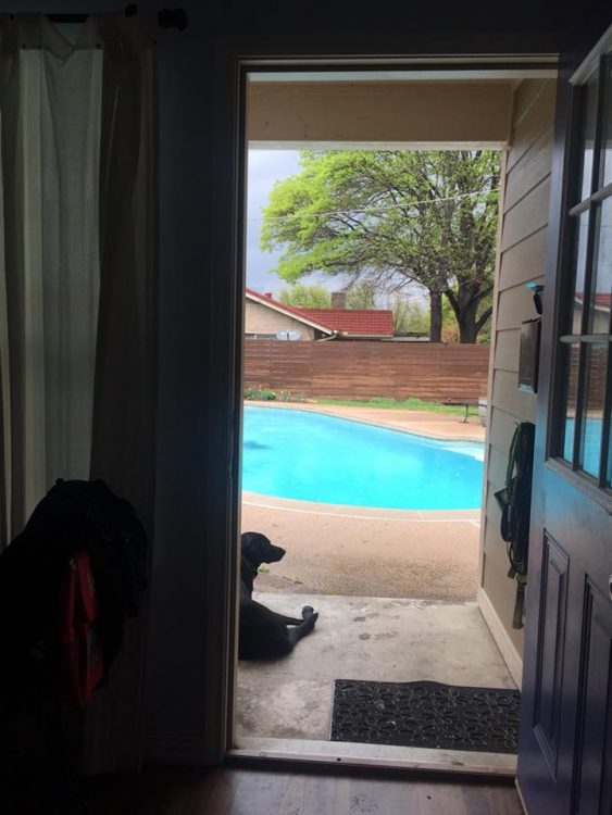 view of backyard pool from inside