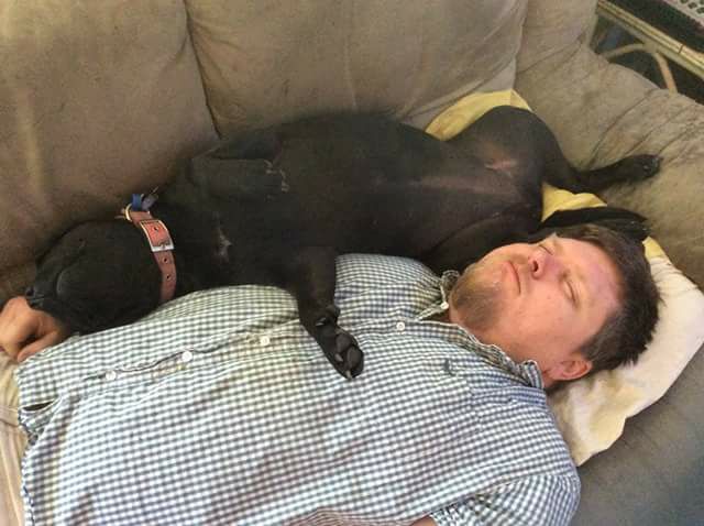 man lying on couch next to dog