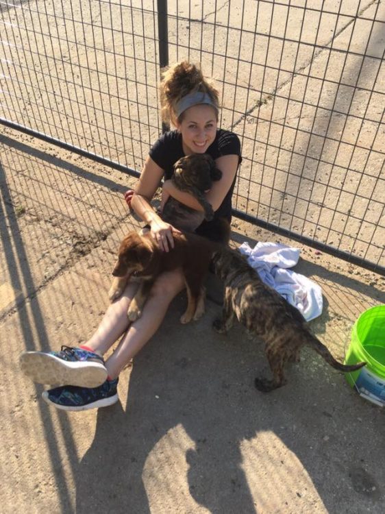 woman sitting on the ground outside with a few dogs on her lap