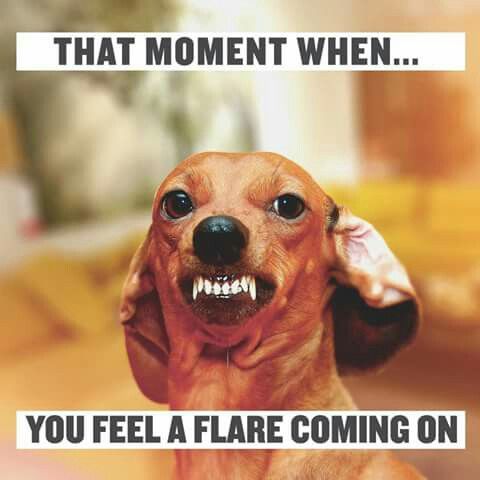 dog baring teeth with caption that moment when you feel a flare coming on