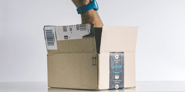 Amazon Offers Discounted Prime Membership to Medicaid Recipients man's hand reaching inside amazon prime box