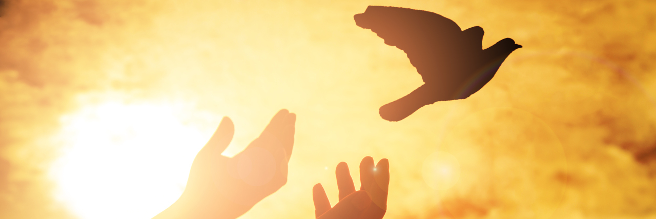 Person freeing a dove at sunset.