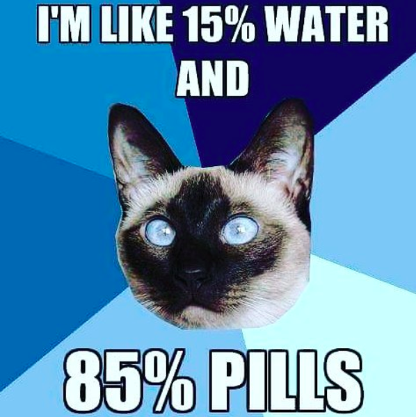 i'm like 15% water and 85% pills