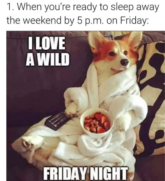 when you're ready to sleep away the weekend by 5 p.m. on friday, with a dog lying on the couch in a robe saying 'i love a wild friday night'