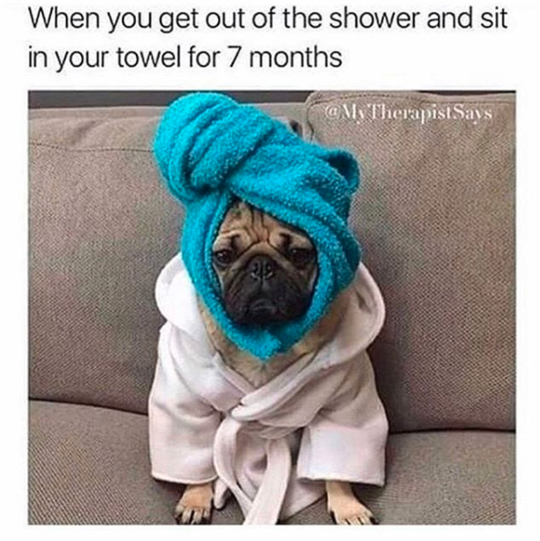 dog with towel wrapped around head and caption when you get out of the shower and sit in your towel for 7 months