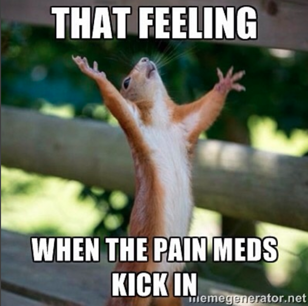 squirrel raising arms with caption that feeling when the pain meds kick in