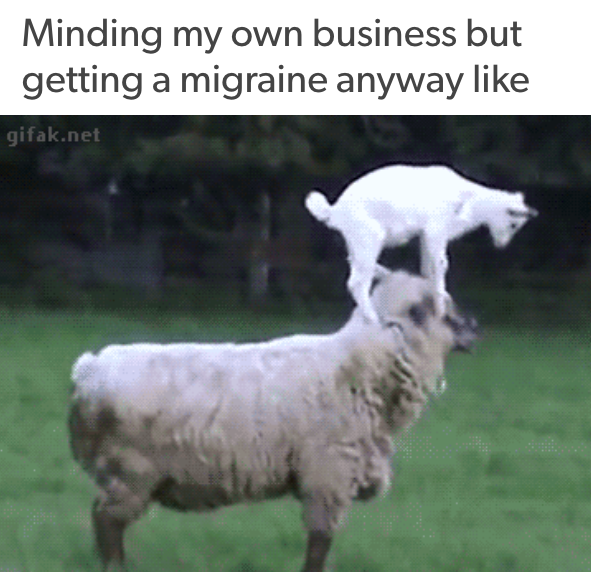 minding my own business but getting a migraine anyway like... with a small goat standing on a sheep's head