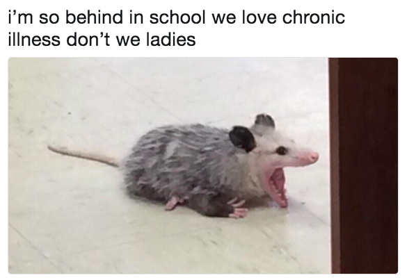 i'm so behind in school, we love chronic illness don't we ladies. with a possum screaming