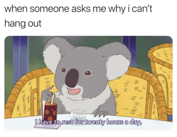 when someone asks me why I can't hang out. with a cartoon of a koala saying 'I sleep 20 hours a day'