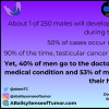 infographic with testicular cancer check guide