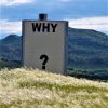 a large white sign that says "why?" in the middle of a field with a mountain in the background