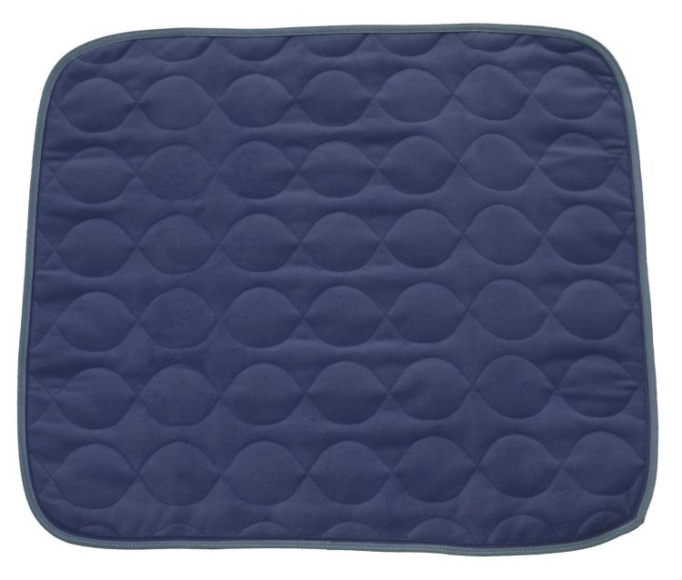 blue quilted chair pad