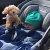 Theo, the author's son sleeping in a carseat with a stuffed animal