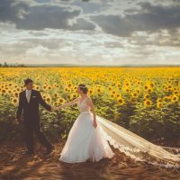 newly married couple in front of field of sunflowers