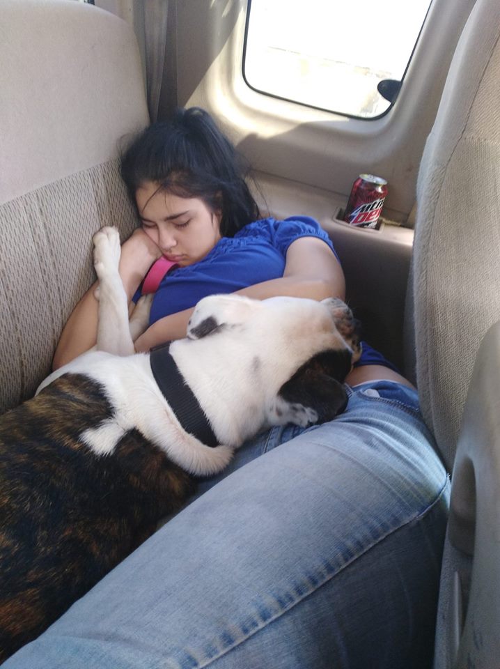 a girl lying down sleeping next to her dog