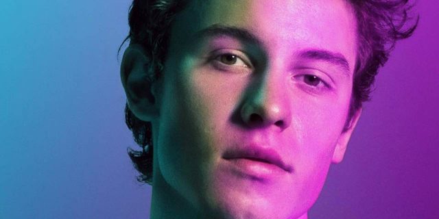 shawn mendes