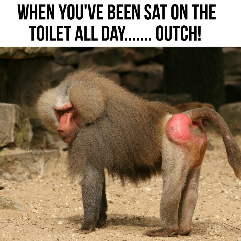 when you've been sat on the toilet all day... outch!
