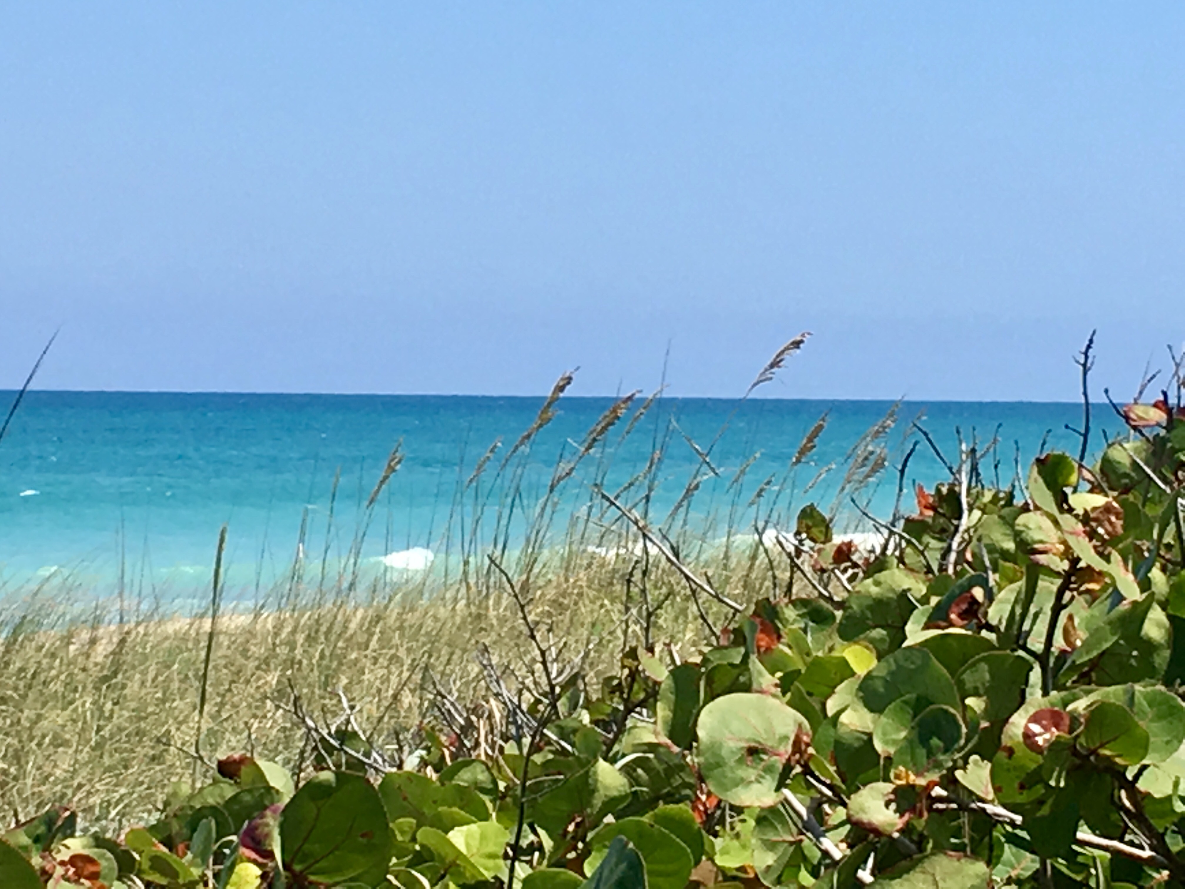 A picture of a Florida beach.