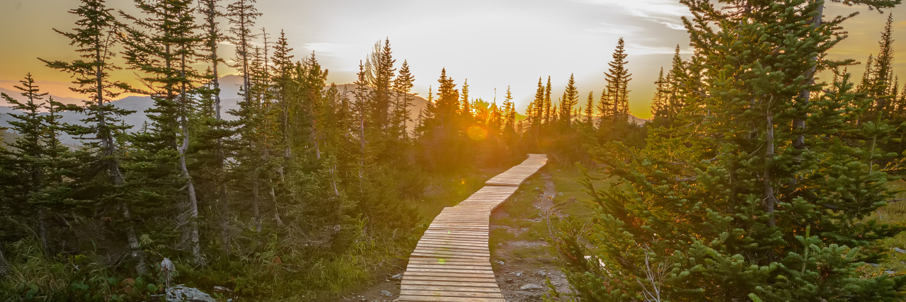 Autism Understanding Month Beautiful wooden pathway in green mountain forest.