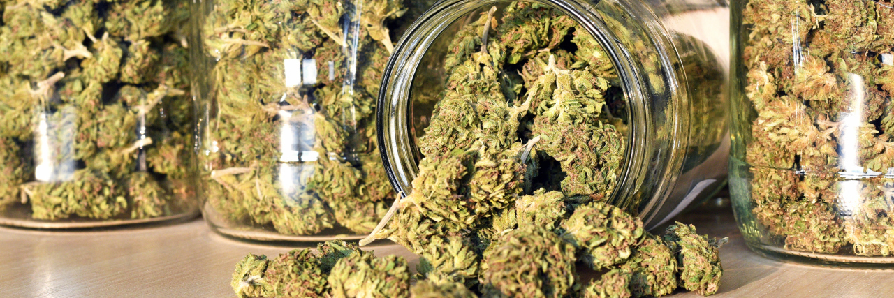 FDA Is Asking for Public Comments on Cannabis Dry and trimmed cannabis buds, stored in a glass jars. Medical cannabis
