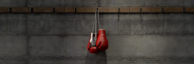 A pair of hanging boxing gloves.
