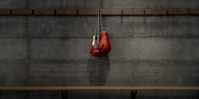 A pair of hanging boxing gloves.