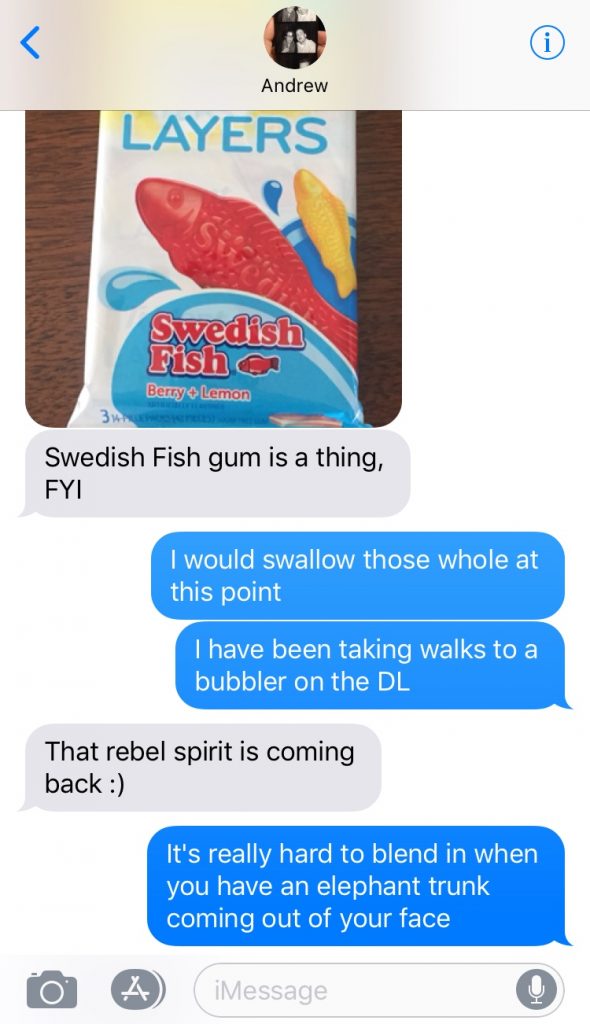 the author's friend texting her about swedish fish gum