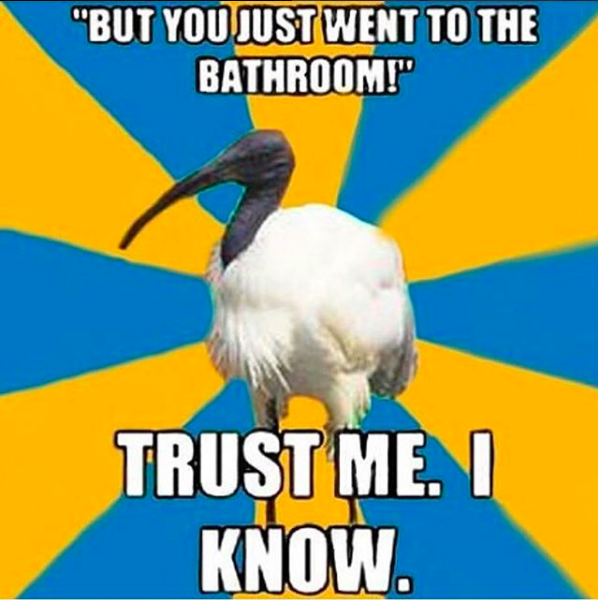 but you just went to the bathroom... trust me, I know.