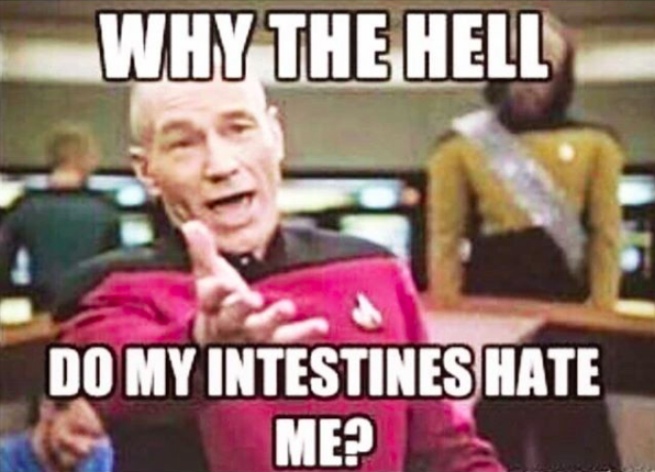 why the hell do my intestines hate me?